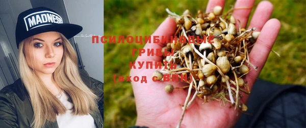 МДПВ Верхнеуральск