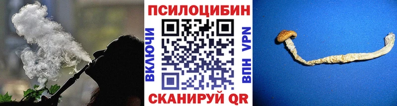 где купить наркоту  Новохопёрск  Псилоцибиновые грибы мухоморы 