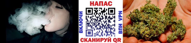 МАРИХУАНА план Новохопёрск